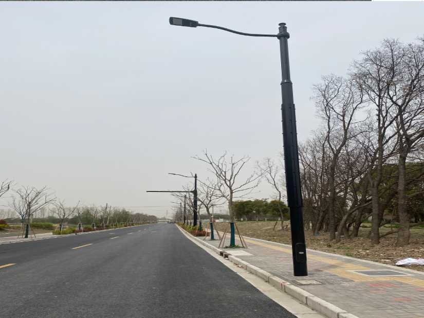 德城区上海综合杆 太阳能路灯工程